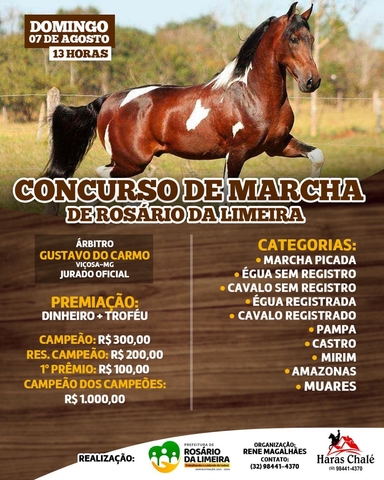 CONCURSO DE MARCHA